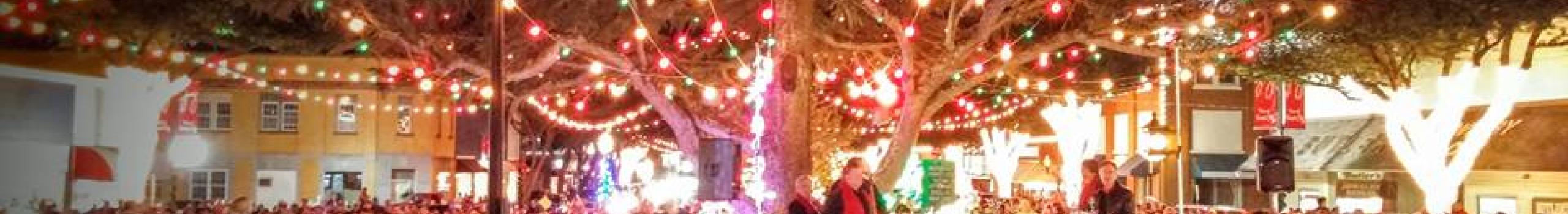 Lights on tree