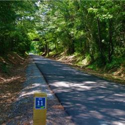 Thermal Belt Rail Trail