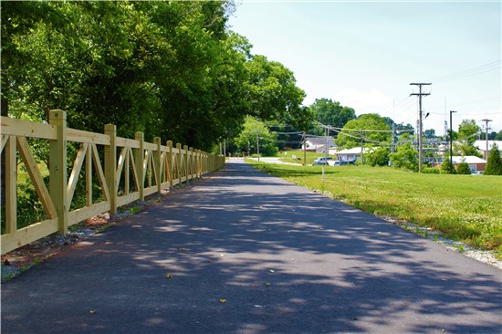 A Section of the trail